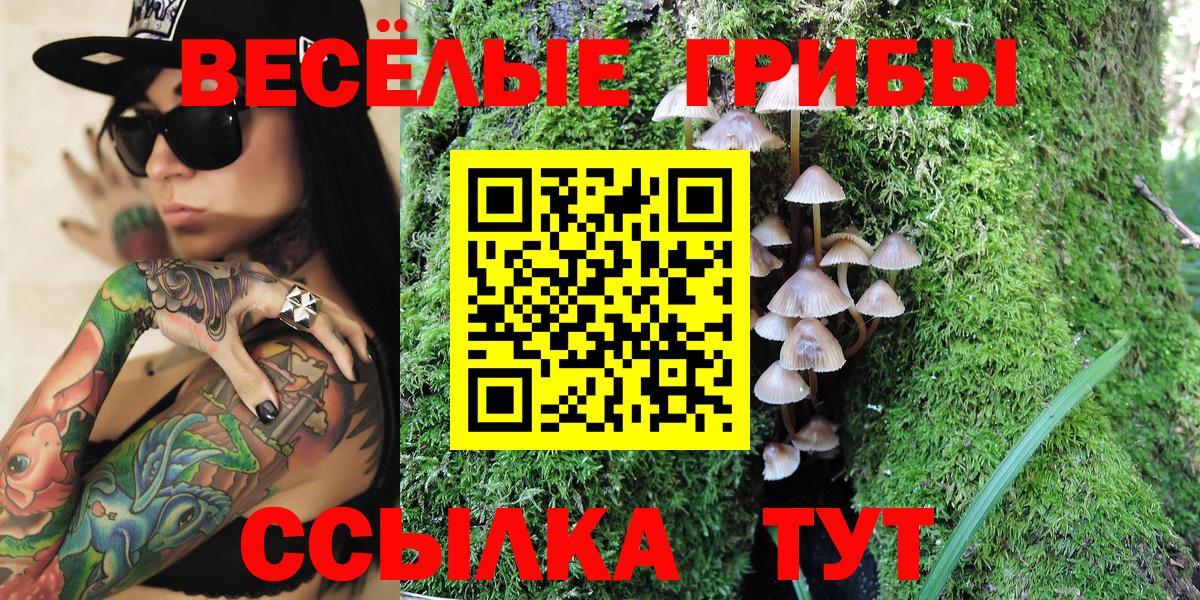 купить закладку  Псилоцибиновые грибы ЛСД  Вход с VPN  Усть-Илимск 