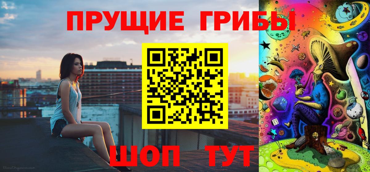 Псилоцибиновые грибы Psilocybine cubensis Усть-Илимск
